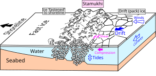 <span class="mw-page-title-main">Stamukha</span> Static accumulation of sea ice rubble