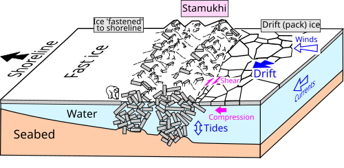 Stamuxi