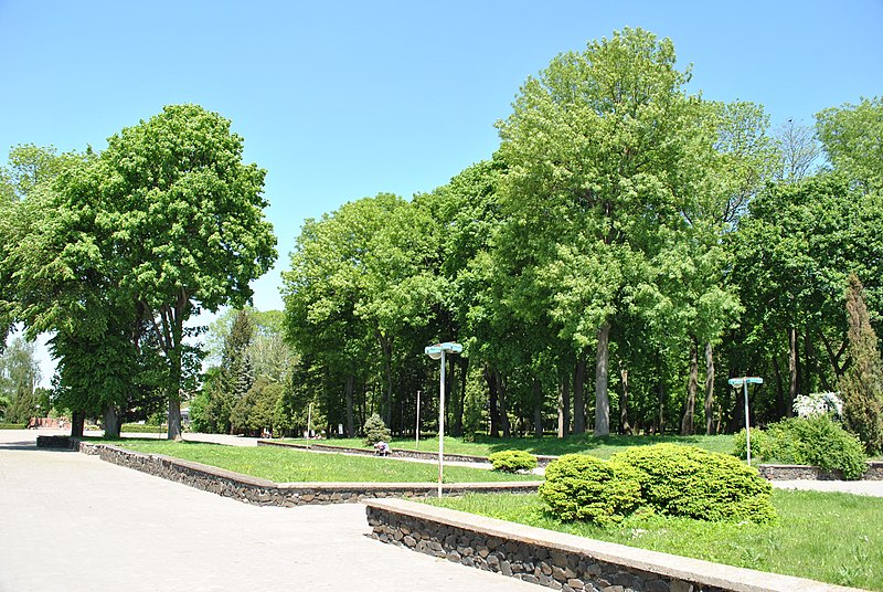 File:Staryi-Park-15057190.jpg