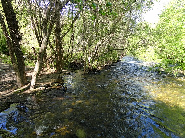 Image: Stream   Garland Ranch Regional Park   Carmel Valley, CA   DSC06843