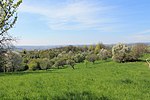 Vorschaubild für Wernau (Neckar) (Landschaftsschutzgebiet)