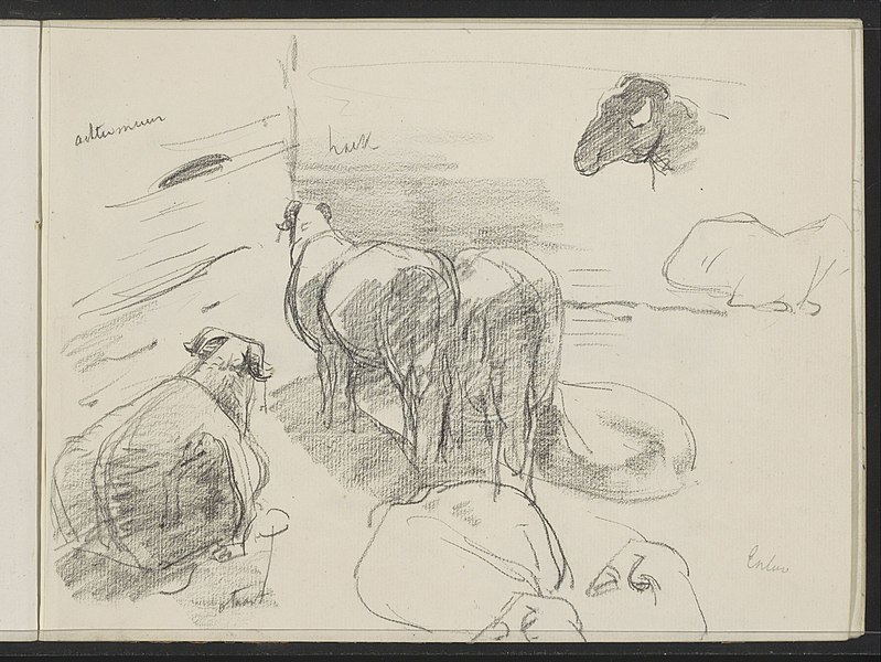 File:Studieblad met schapen te Exloo, RP-T-1963-316-17(R).jpg