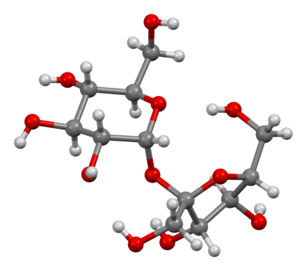 Ball-and-stick model of sucrose