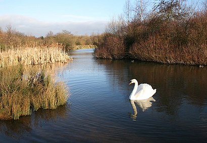 How to get to Sandwell Valley Country Park with public transport- About the place