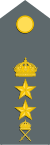 Sweden-Army-OF-4 (M1987) .svg