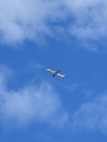 File:TAP Air Portugal over London, August 2023.jpg