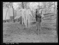 Taking down the washing at evicted sharecroppers' camp. Butler County, Missouri LCCN2017779438.tif