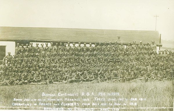 The Bermuda Contingent of the Royal Garrison Artillery