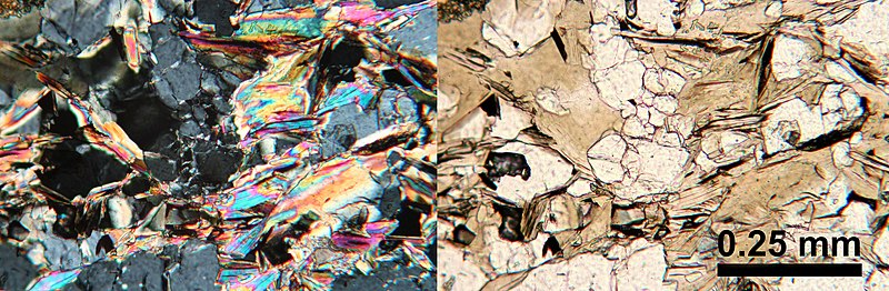 File:Thin section microscopy Siilinjärvi R616 1820 apatite.jpg