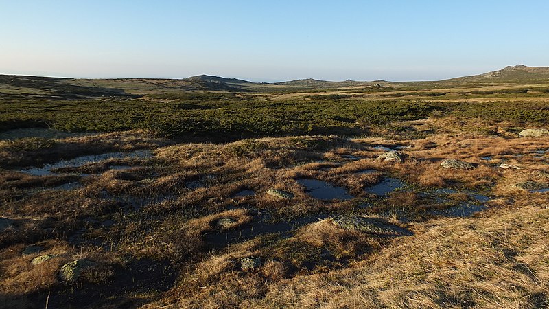 File:Torfeno Branishte reserve, Vitosha mountain - spring 2016 - 2.jpg