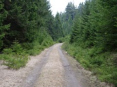 Track at Großer Winterberg 15.jpg 78889769 6 599 20190601074156