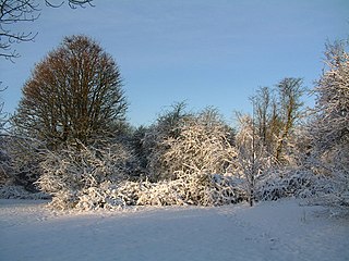 Norton Common