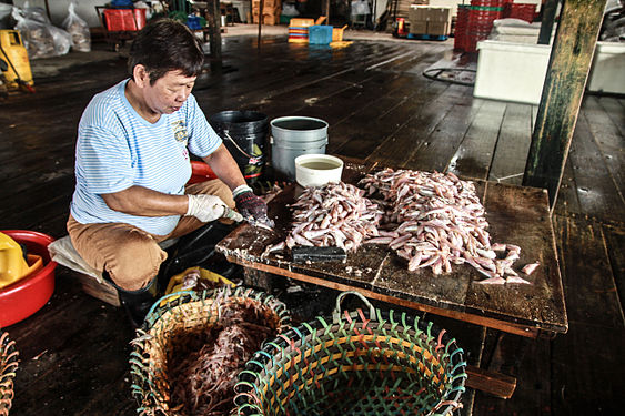 Fish is prepared for drying