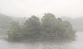 Image 1An island (with ospreys) in Trustom Pond in the fog