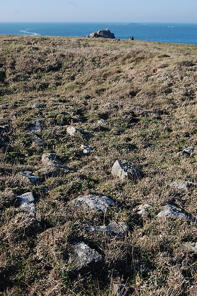 File:Tumulus à Quiberon 05.JPG