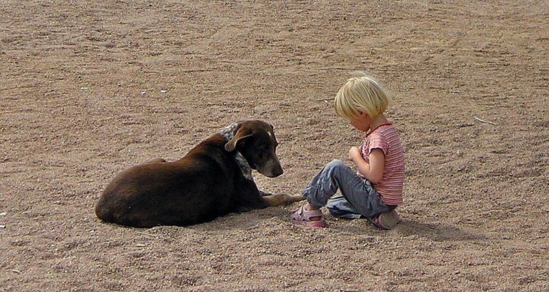 File:Two friends in Dahab Egypt X.jpg