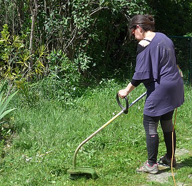 A woman in her garden