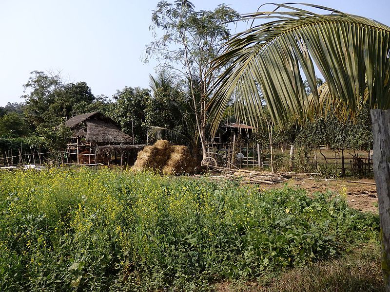 File:Unnamed Road, Mawlaik, Myanmar (Burma) - panoramio (15).jpg