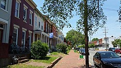 Cary Caddesi'nden batıya bakan Greek Row manzarası.