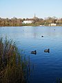The ornamental lake at Danson Park, Bexleyheath. [342]