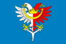 Vlag van Jimlín