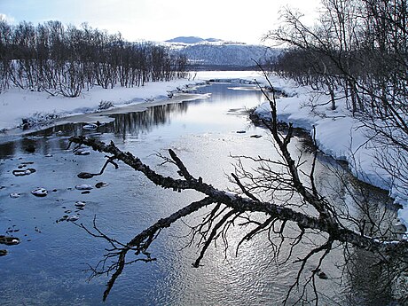 Vojmån