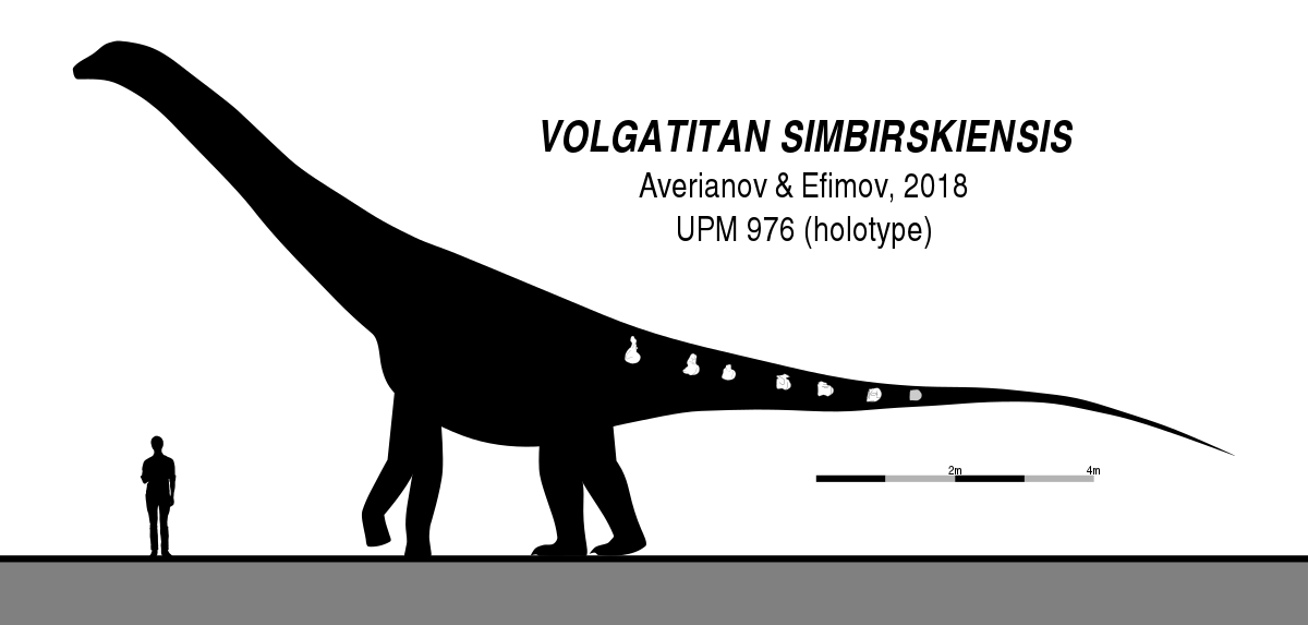 Image result for Volgatitan