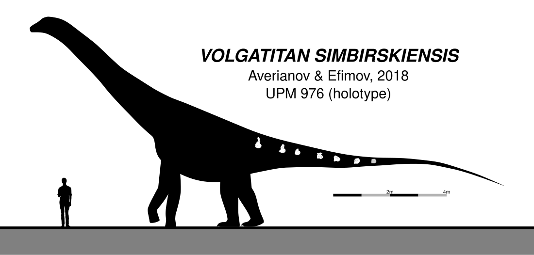 Volgatitan simbirskiensis