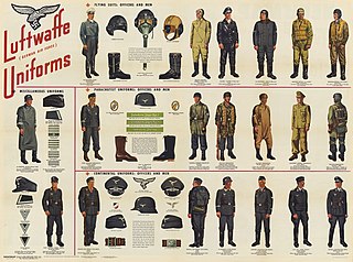 <span class="mw-page-title-main">Uniforms of the Luftwaffe (1935–1945)</span>
