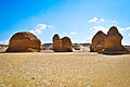 Wadi Al Hitan "Valley of Whales"