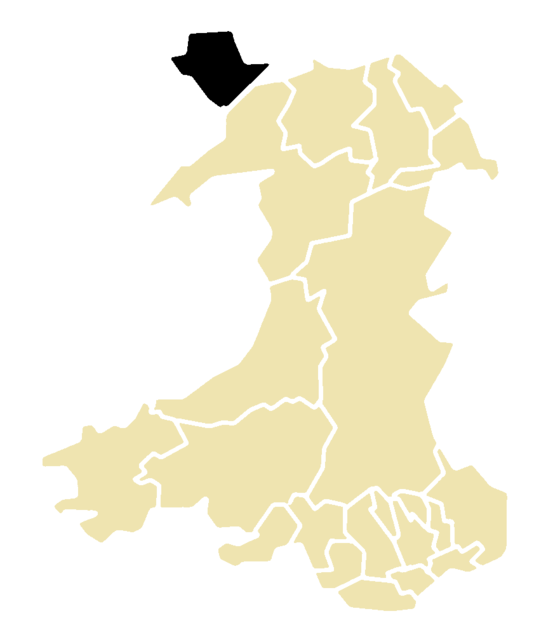 Map showing the location of Isle of Anglesey County Council in WalesKey: .mw-parser-output .legend{page-break-inside:avoid;break-inside:avoid-column}.mw-parser-output .legend-color{display:inline-block;min-width:1.25em;height:1.25em;line-height:1.25;margin:1px 0;text-align:center;border:1px solid black;background-color:transparent;color:black}.mw-parser-output .legend-text{}  Anglesey County Council under No Overall Control   The rest of Wales where no elections were held