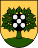 Linden – Stemma