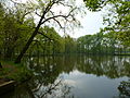 Wenumse Watermolen