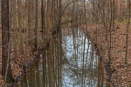 West Neck Creek Natural Area