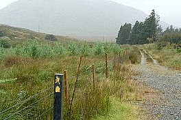 Western Way in Lettershanbally forest - geograph.org.uk - 967422.jpg