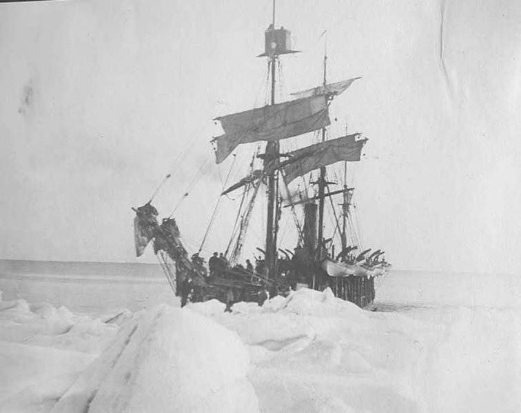 File:Whaling ship ALEXANDER caught in ice near Kingegan, Alaska, between 1901 and 1906 (AL+CA 7972).jpg