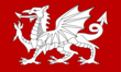 White Dragon Flag of England.png