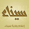 Wilayat Sinai logo.jpeg