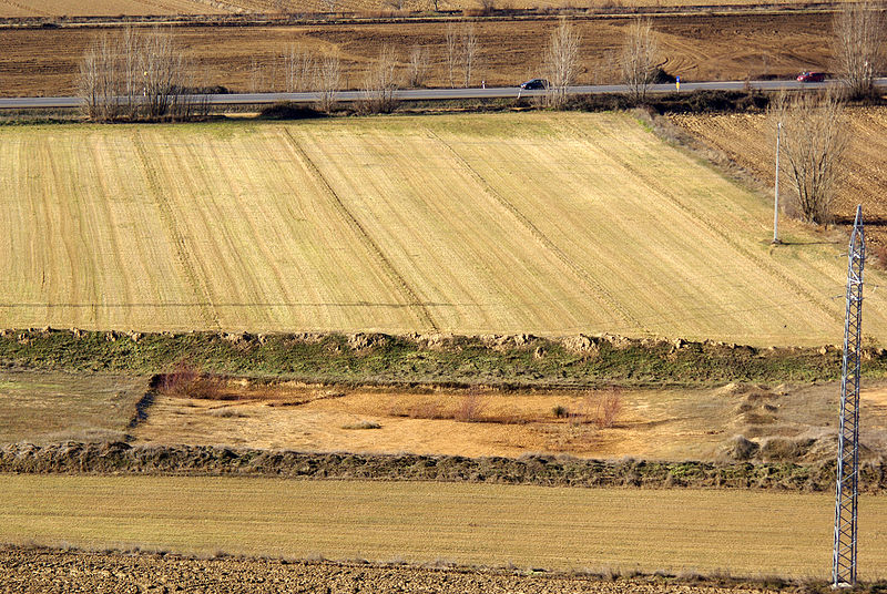 File:Yacimiento arqueológico de Lancia 16 by-dpc.jpg