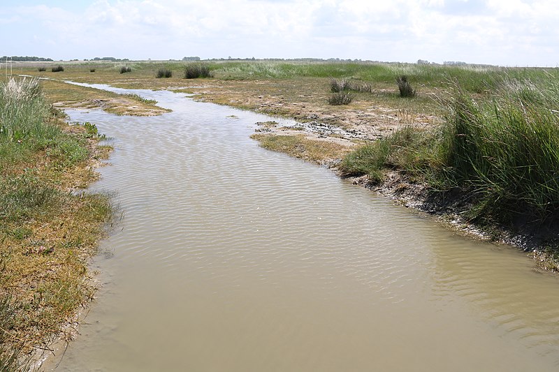 File:Zwin Natuur Park 74.jpg