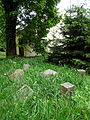 Čeština: Židovský hřbitov v Havlíčkově Brodě, kraj Vysočina. English: Jewish cemetery in the town of Havlíčkův Brod, Vysočina Region, Czech Republic.