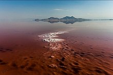 سرخی دریاچه ارومیه-۹.jpg