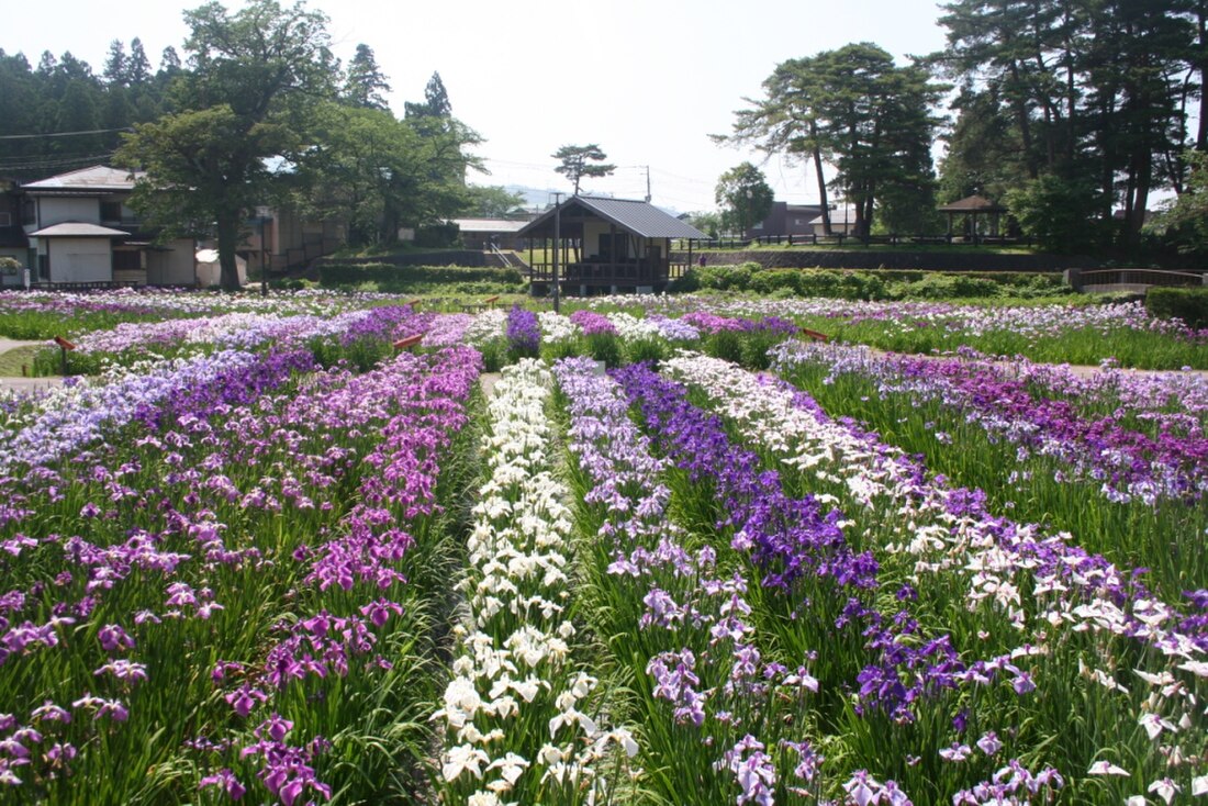 長井市