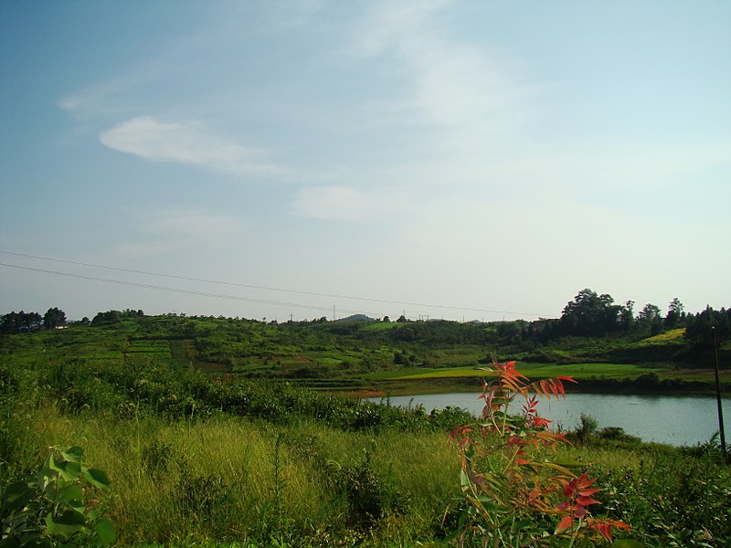 File:麻拐山 - panoramio - 曹松意 (30).jpg