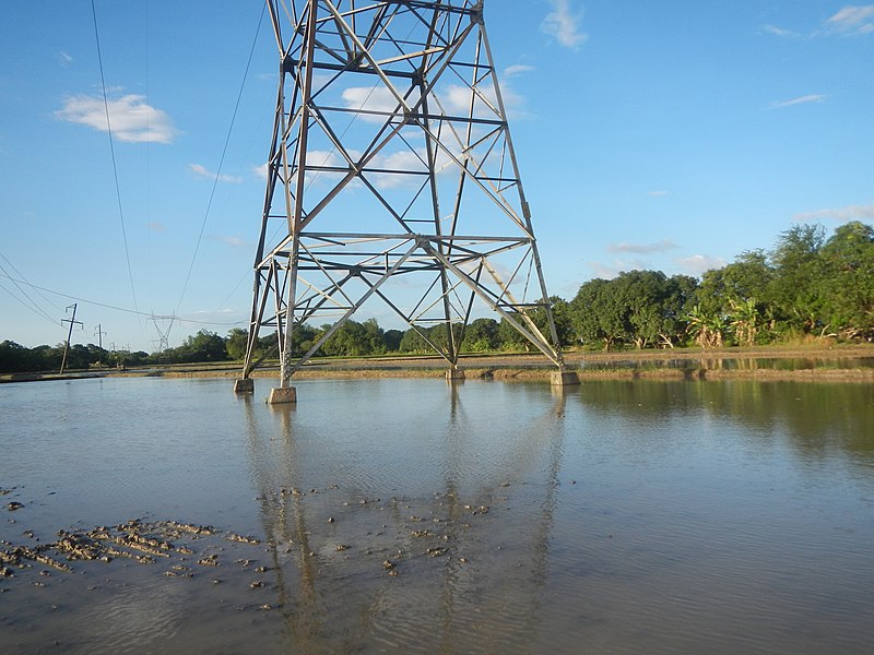 File:07178jfPaddy fields in Parcutela San Isidro Gapan City Nueva Ecija Provincial Roadfvf 07.jpg