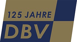 Deutscher Bankangestellten-Verband: Geschichte, Aktuelle Themen, Organisation in den Betrieben – Durchsetzbarkeit von Forderungen