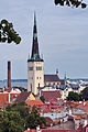 * Nomination St Olaf's Church, Tallinn, Estonia --Ralf Roletschek 09:13, 3 October 2014 (UTC) * Promotion I would remove the leafs, but nonetheless QI. --Tuxyso 09:17, 3 October 2014 (UTC)