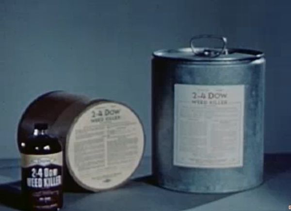 Containers of 2-4 D herbicide, ca. 1947