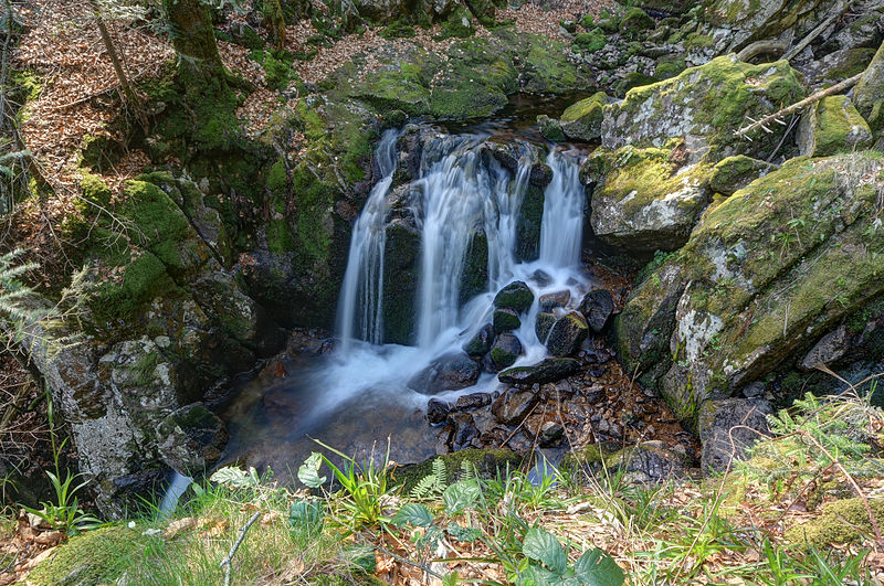 File:2014-04-09 15-47-12 cascade-savoureuse-lepuix.jpg