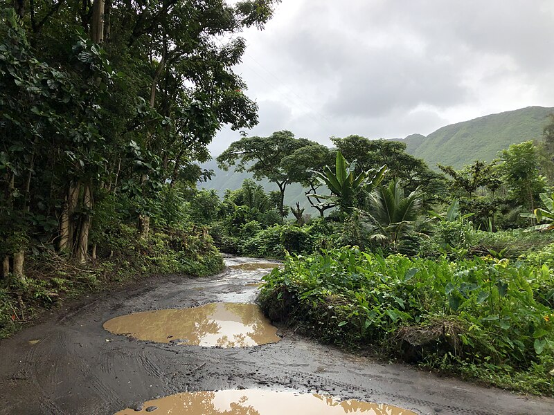 File:2021-10-10 15 58 32 View southwest along Waipio Valley Road as it crosses the valley floor between the beach and the bottom of the steep ascent in Waipio, Hawaii County, Hawaii.jpg